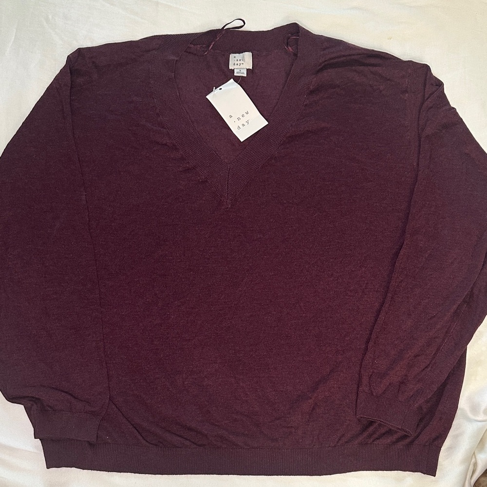 a new day Men's Deep Burgundy V-Neck Sweater